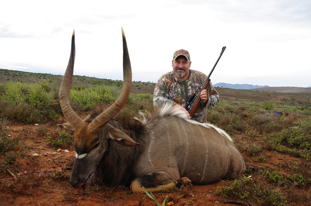 Nyala Hunt in South Africa