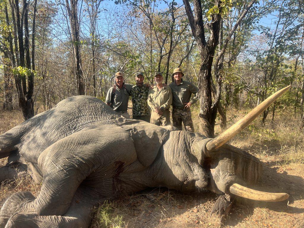 Zambian Elephant Hunt