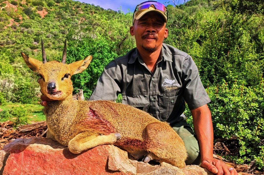 Klipspringer Hunt