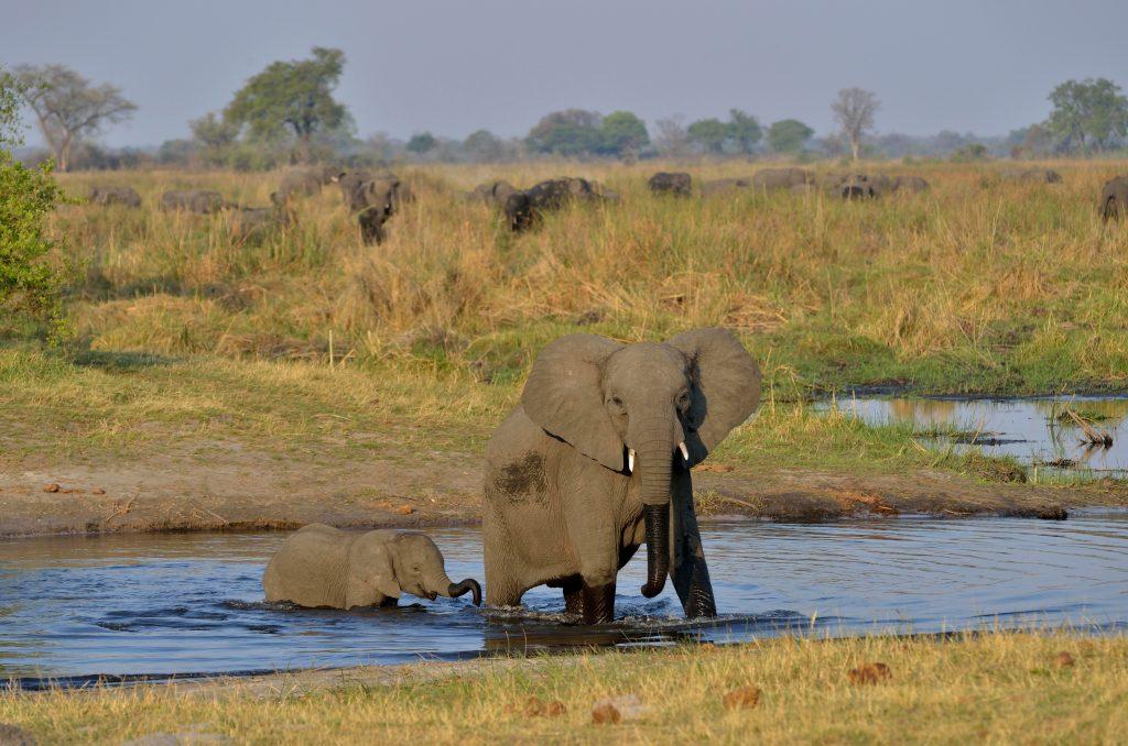 Hunting in Namibia