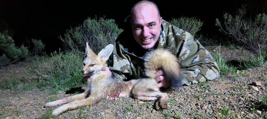 Cape Fox Hunt