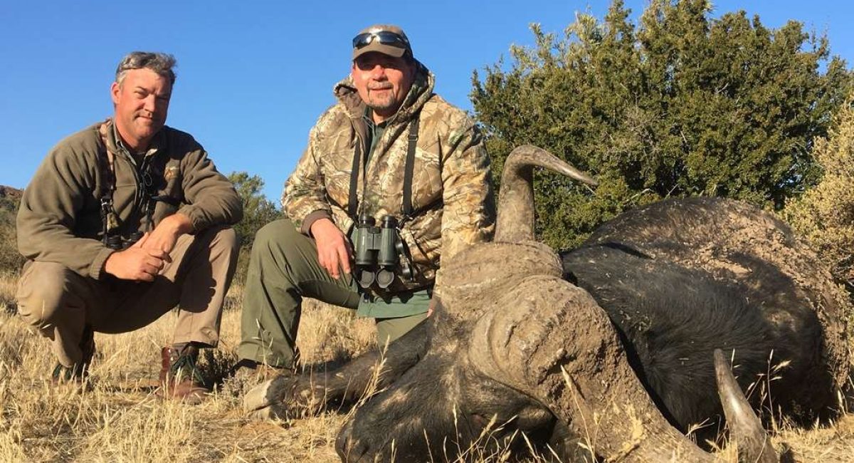 Hunting Cape Buffalo in Africa