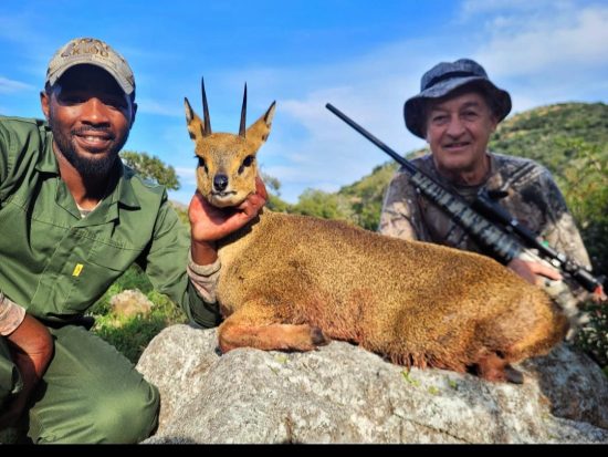 Klipspringer Hunt