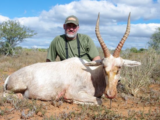 Hunting white blesbok in South Africa