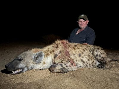 Spotted Hyena Hunt
