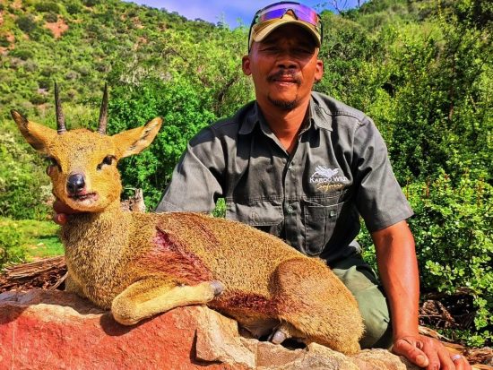 Klipspringer Hunt