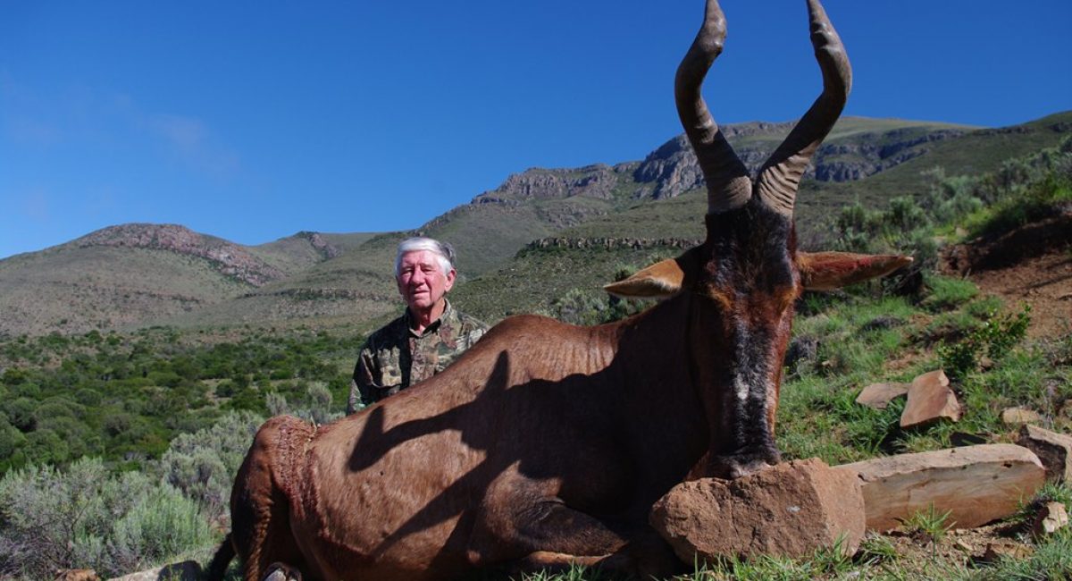 Hunting Red Hartebeest