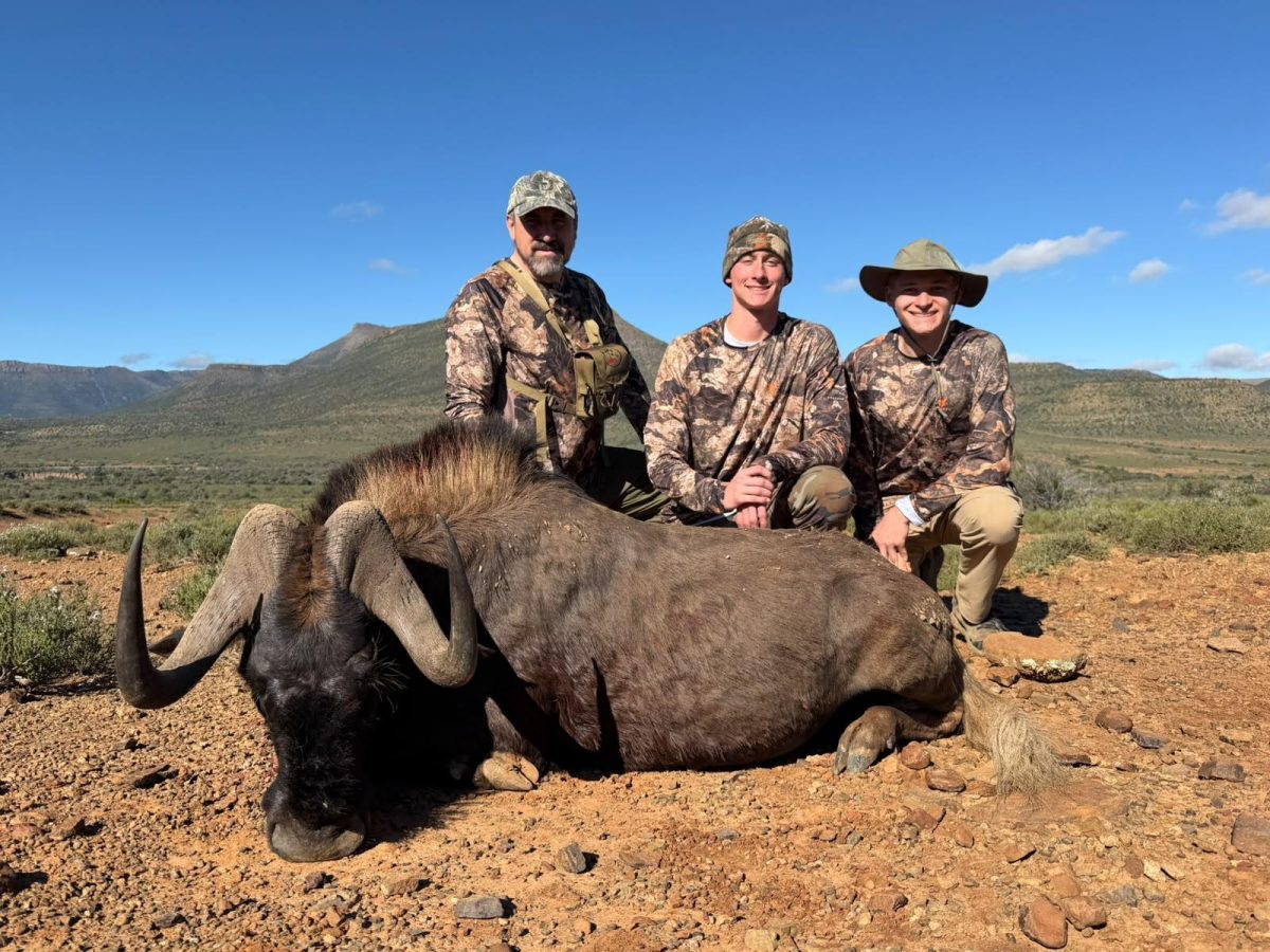 Hunt Black Wildebeest