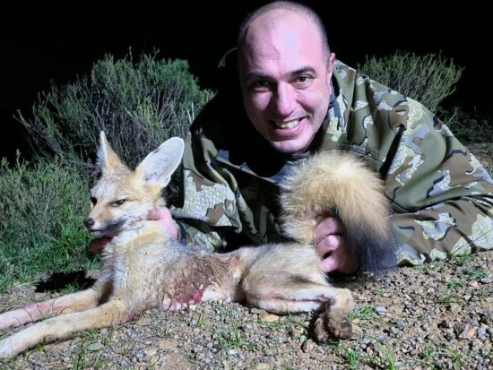Cape Fox Hunt