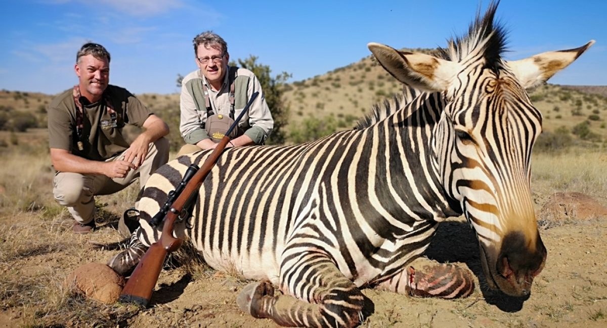 Hunting Hartmann's Mountain Zebra in South Africa