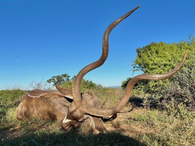 Hunting Review