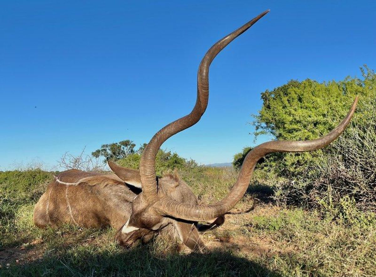 Hunting Review