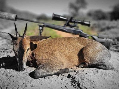South Africa Hunting Review