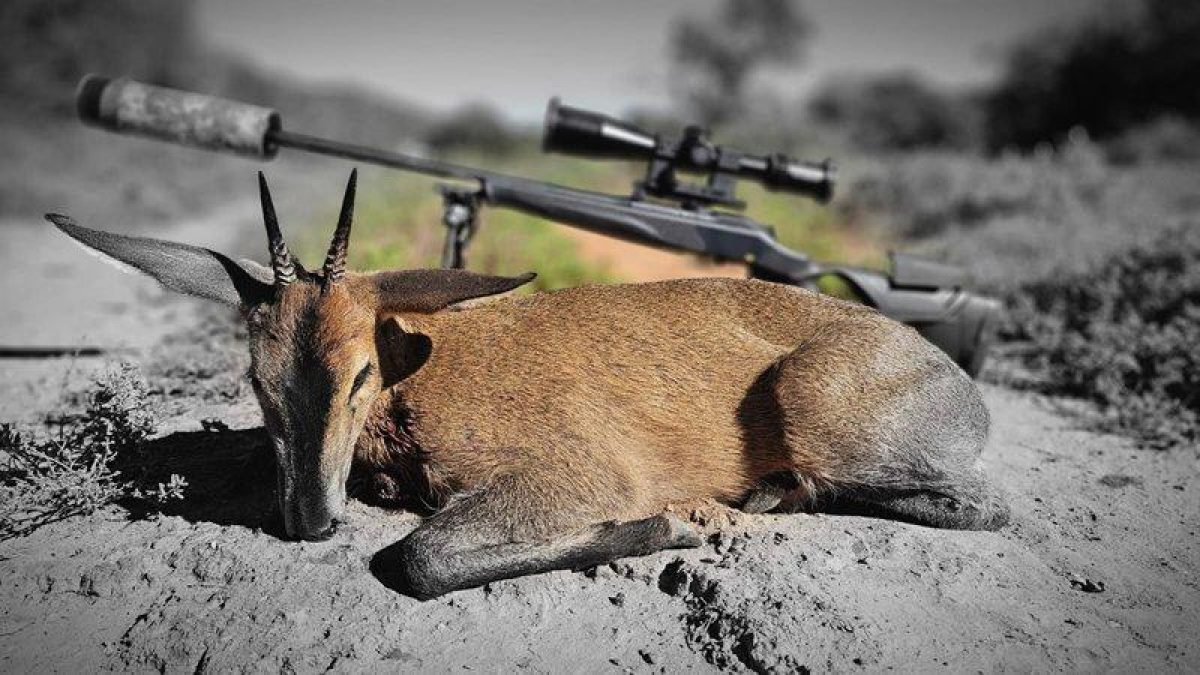 South Africa Hunting Review