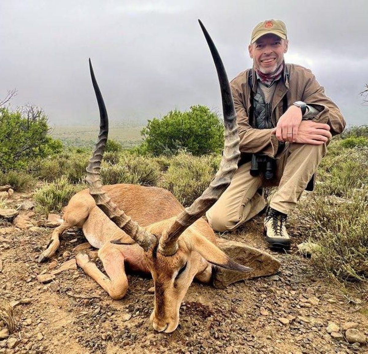 Impala Hunt
