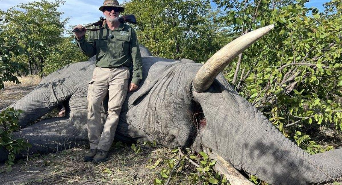 Elephant Hunting