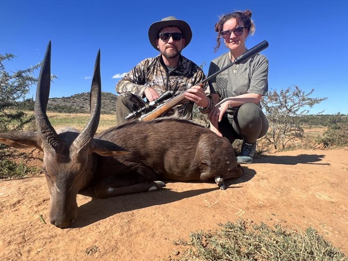 Hunting bushbuck