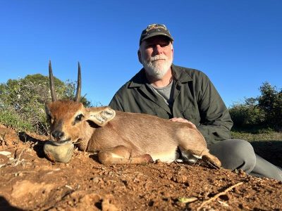 Steenbok hunting in Africa