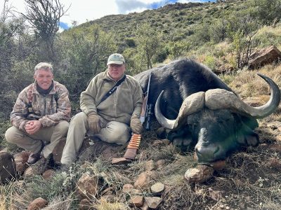 Cape Buffalo Hunting
