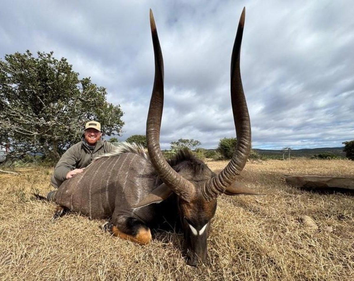 Nyala Hunt