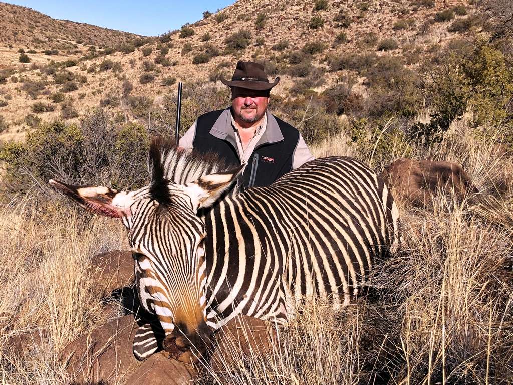 Hunting Hartmann's Mountain Zebra in South Africa