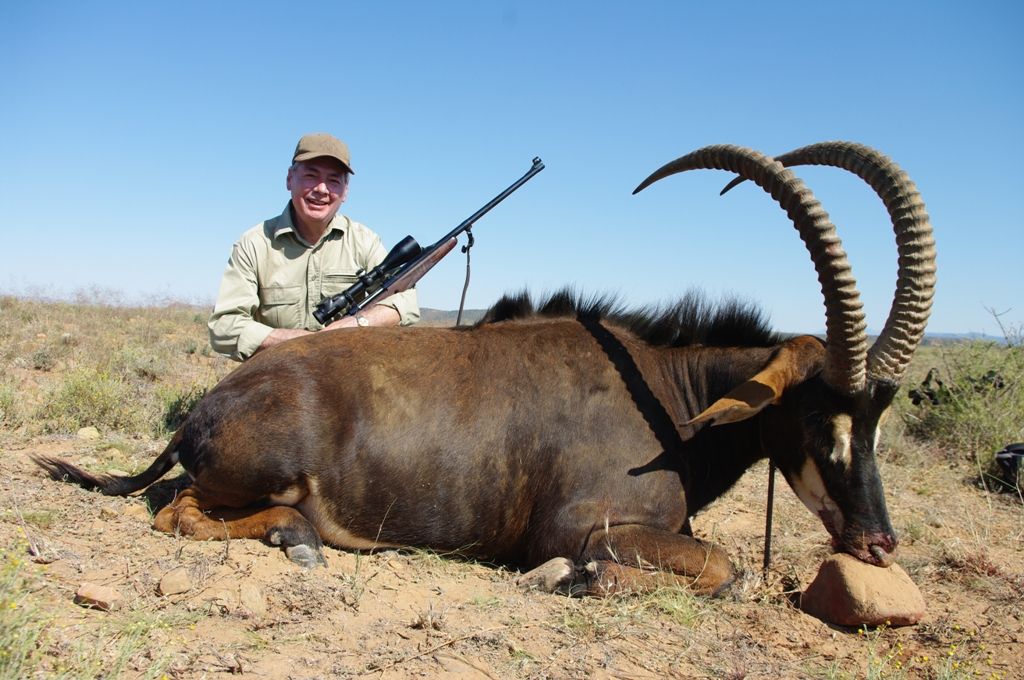 Sable Hunt in South Africa