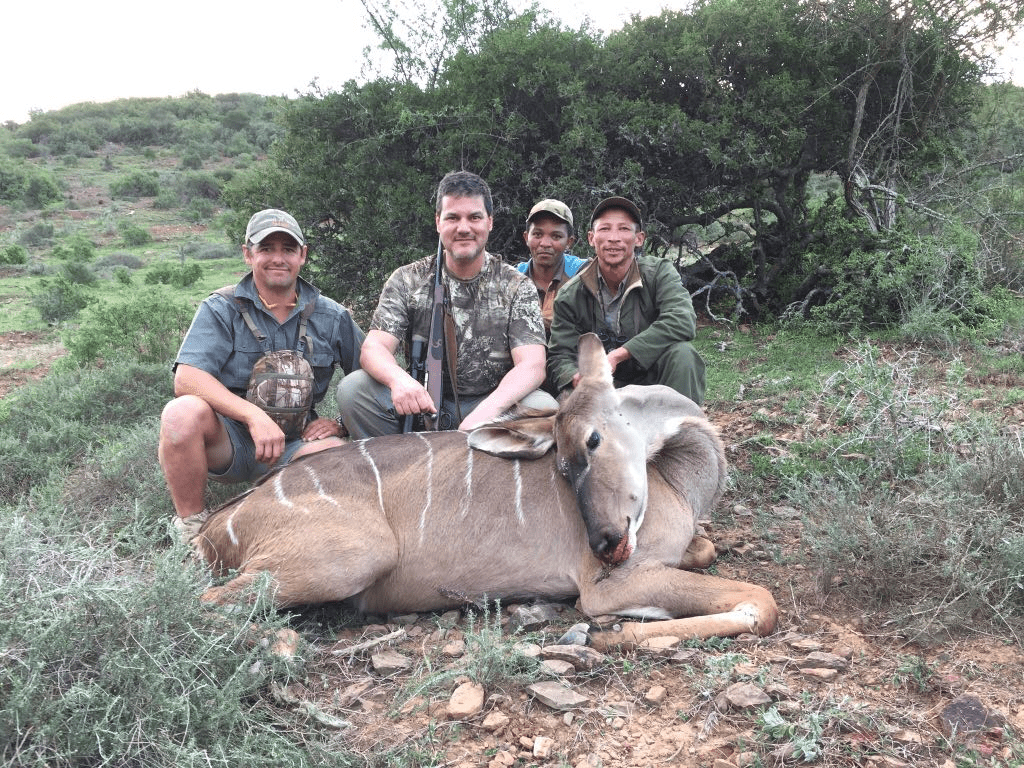 Management Animal Hunting Kudu